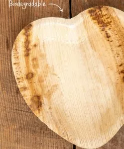 Natural Life Palm Leaf Plate Set Of 12