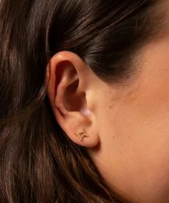Natural Life Zodiac Perfect Tiny Studs
