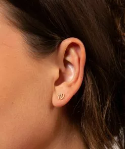 Natural Life Zodiac Perfect Tiny Studs
