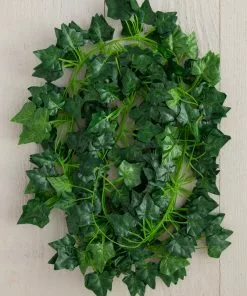 Natural Life Set Of 5 Vine Garland Back To Campus