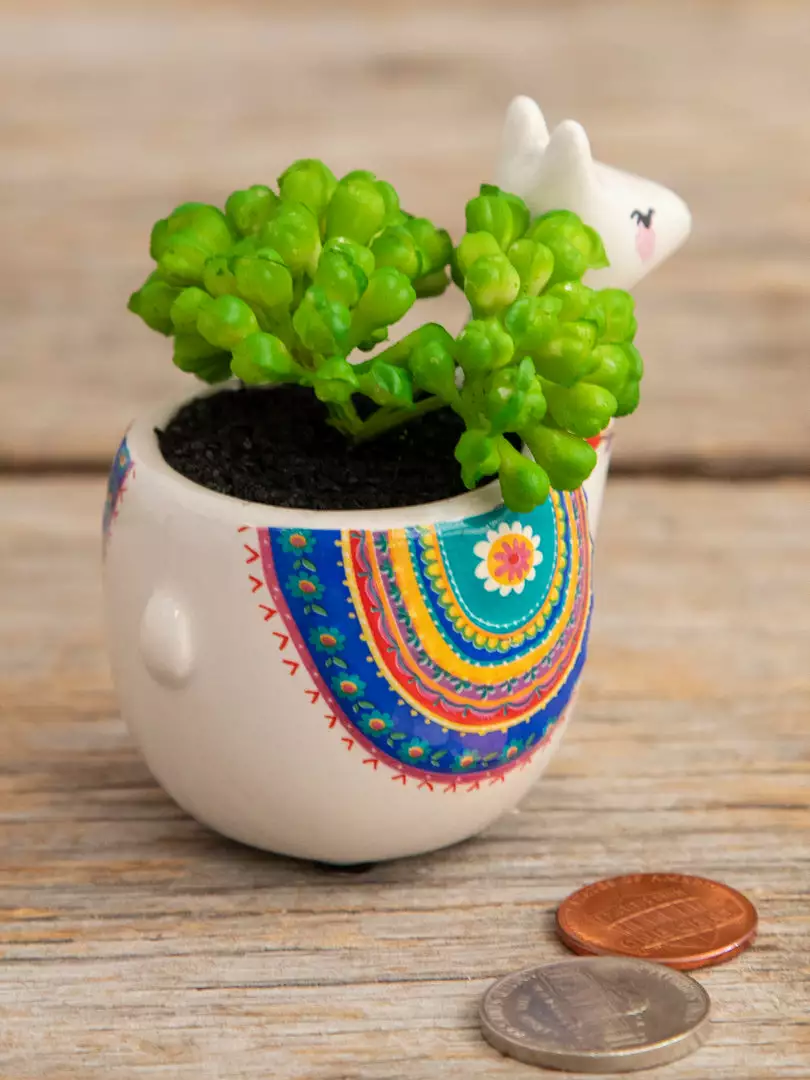 Natural Life FUN & GIFTS Tiny Faux Succulents 7 Natural Life FUN & GIFTS Tiny Faux Succulents