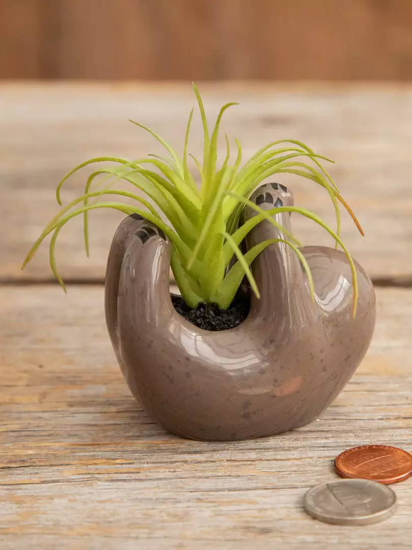 Natural Life FUN & GIFTS Tiny Faux Succulents 11 Natural Life FUN & GIFTS Tiny Faux Succulents