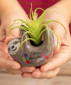 Natural Life FUN & GIFTS Tiny Faux Succulents 25 Natural Life FUN & GIFTS Tiny Faux Succulents