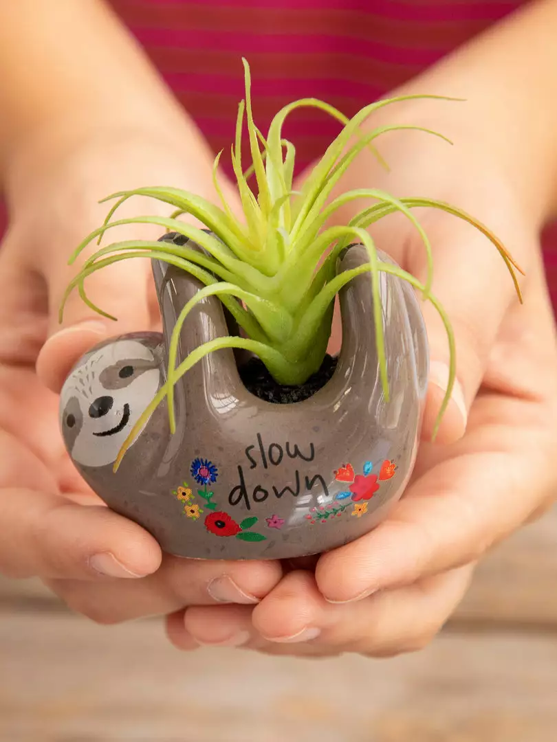 Natural Life FUN & GIFTS Tiny Faux Succulents 12 Natural Life FUN & GIFTS Tiny Faux Succulents