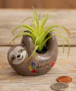 Natural Life FUN & GIFTS Tiny Faux Succulents 23 Natural Life FUN & GIFTS Tiny Faux Succulents