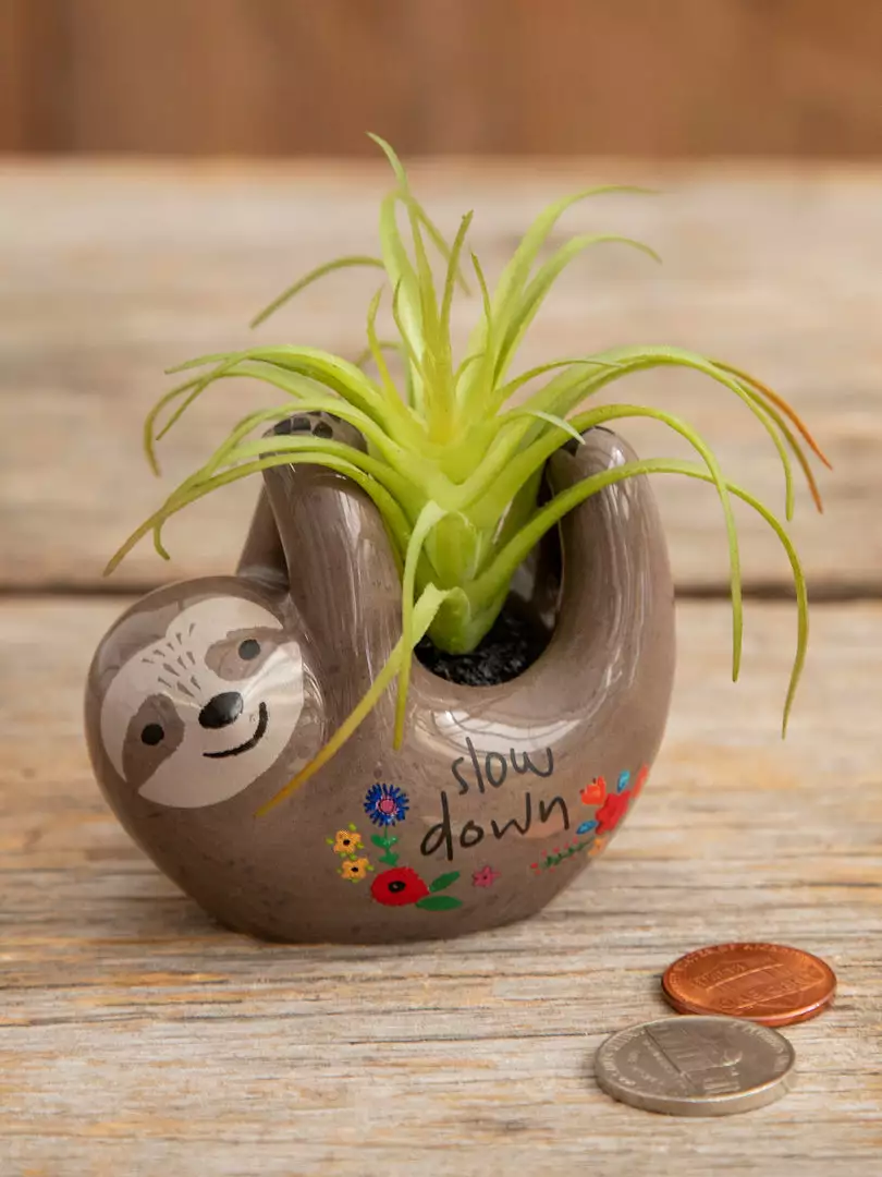 Natural Life FUN & GIFTS Tiny Faux Succulents 10 Natural Life FUN & GIFTS Tiny Faux Succulents