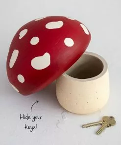 Natural Life Hideaway Mushroom Beach & Outdoors