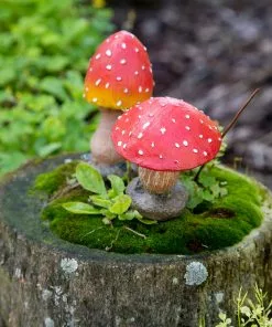 Natural Life Set Of 2 Garden Stakes Beach & Outdoors