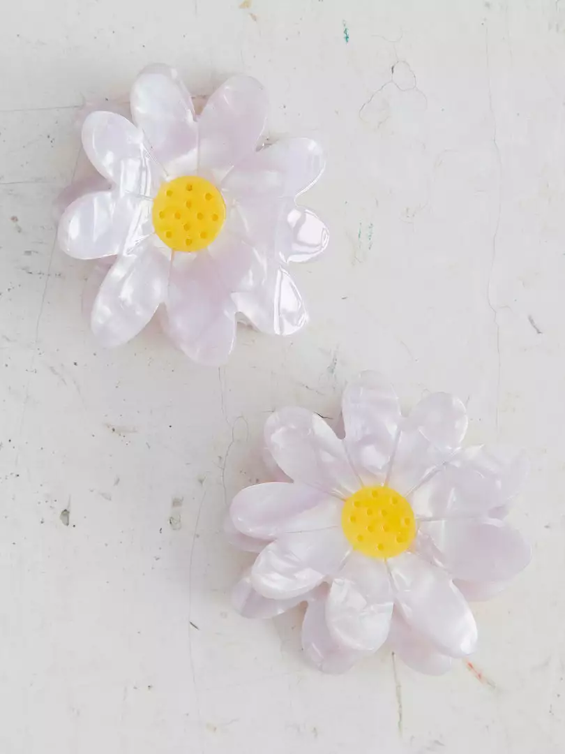 Natural Life NEW & TRENDING Set Of 2 Hair Claws 9 Natural Life NEW & TRENDING Set Of 2 Hair Claws