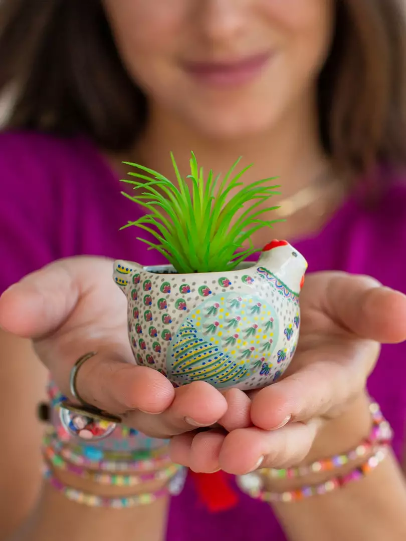 Natural Life FUN & GIFTS Tiny Faux Succulents 16 Natural Life FUN & GIFTS Tiny Faux Succulents