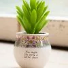 Natural Life Mini Faux Succulent FUN & GIFTS