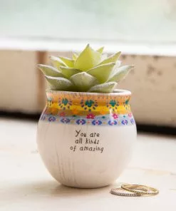 Natural Life Mini Faux Succulent FUN & GIFTS