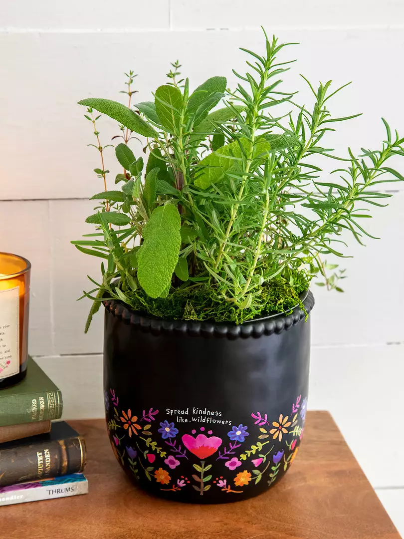 Natural Life Ceramic Planter 3 Natural Life Ceramic Planter