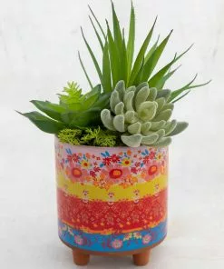 Natural Life HOME & LIVING Faux Succulent Bundle