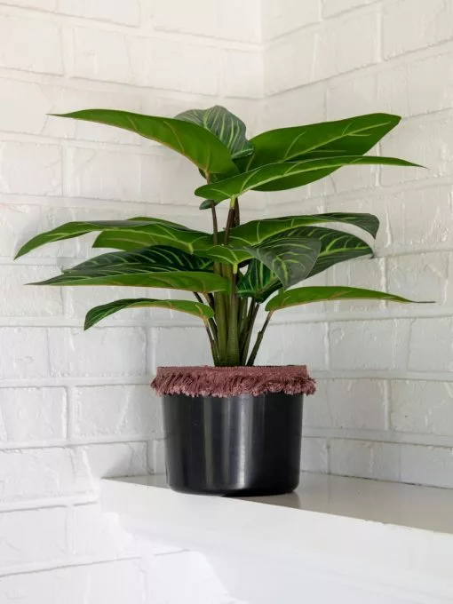 Natural Life Back In Stock Small Potted Faux Plant