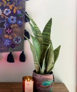 Natural Life Back In Stock Small Potted Faux Plant