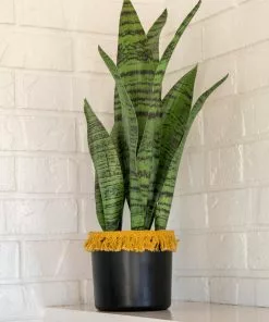 Natural Life Back In Stock Small Potted Faux Plant