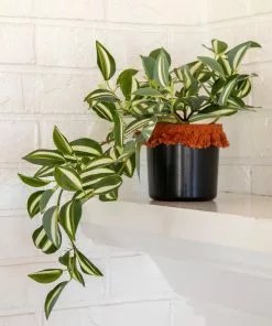 Natural Life Back In Stock Small Potted Faux Plant