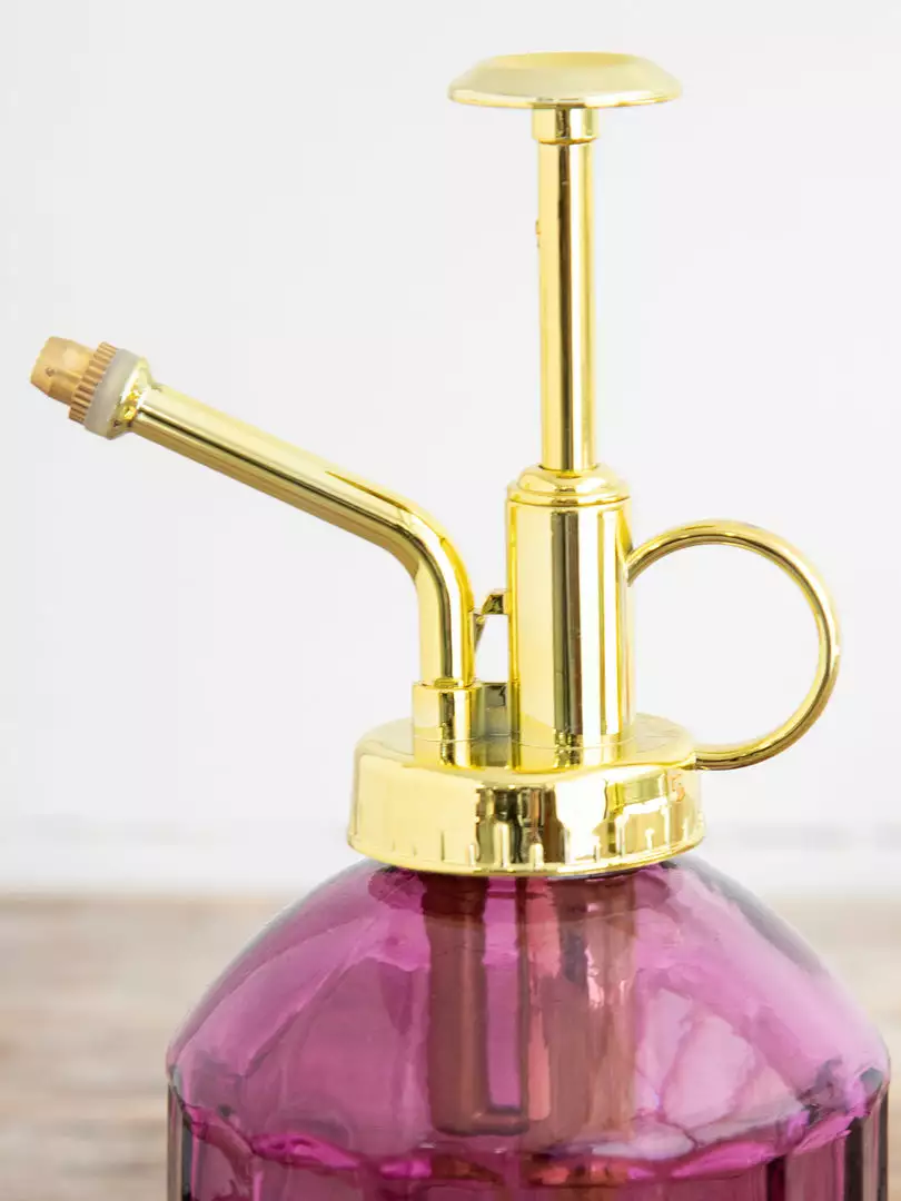 Natural Life Plant Mister 5 Natural Life Plant Mister