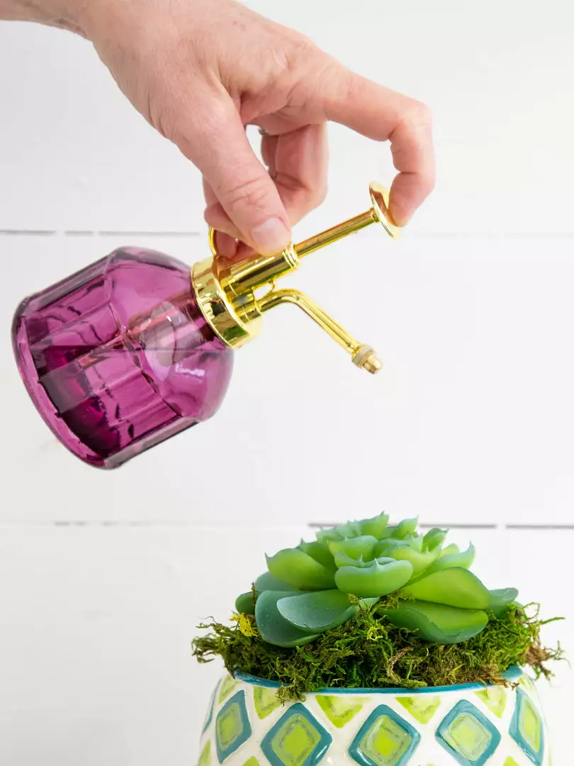 Natural Life Plant Mister 3 Natural Life Plant Mister