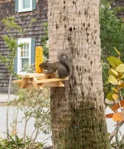 Natural Life Beach & Outdoors Squirrel Picnic Table Feeder