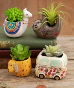 Natural Life FUN & GIFTS Tiny Faux Succulents 26 Natural Life FUN & GIFTS Tiny Faux Succulents