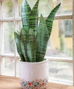 Natural Life Back In Stock Small Potted Faux Plant